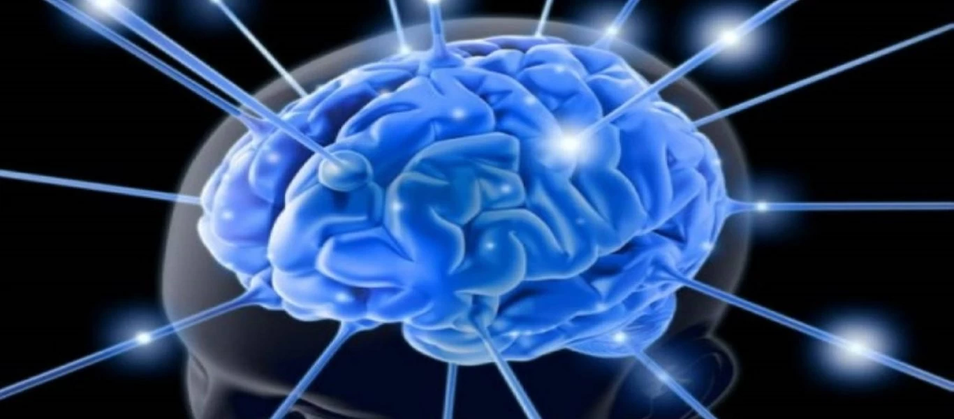 19+1 τροφές που αυξάνουν φυσικά την εγκεφαλική και πνευματική σας απόδοση